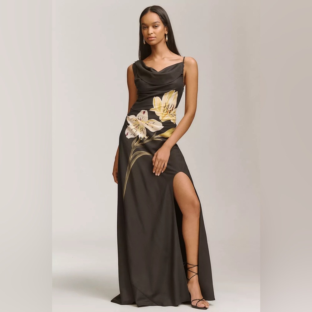 Anthropologie Leo Lin Esme Dress EUC US 4/ AU 8 $1695